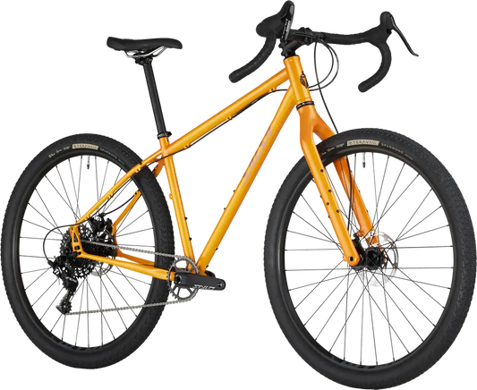 Salsa Cycles | 2024 Fargo Apex 1
