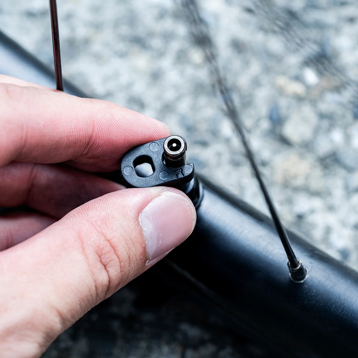 Lezyne x Schwalbe | Clik Valve® Cores