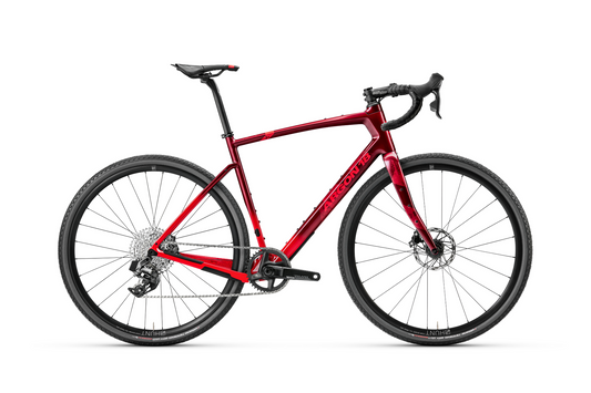 Argon 18 | 2024 Dark Matter Rival AXS