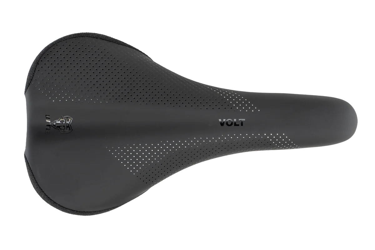 WTB | Volt Saddle