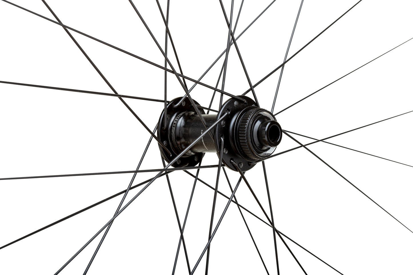 WTB | ProTerra Light i23