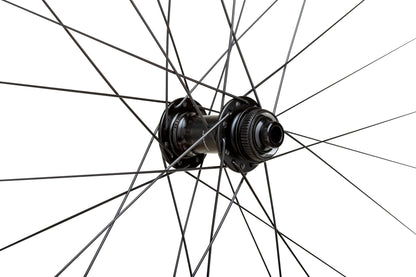 WTB | ProTerra Light i23