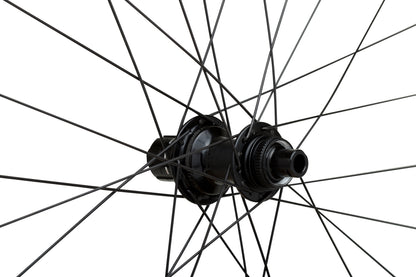 WTB | ProTerra Light i25