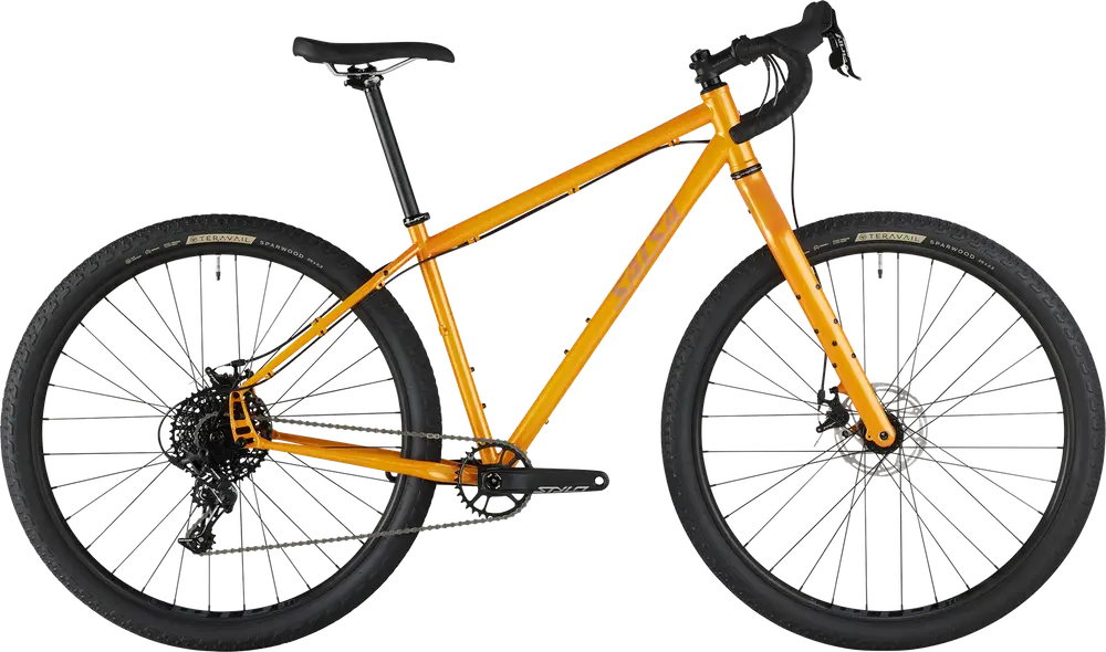 Salsa Cycles | 2024 Fargo Apex 1