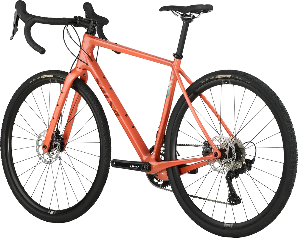 Salsa Cycles | 2024 Warbird GRX 820 2x