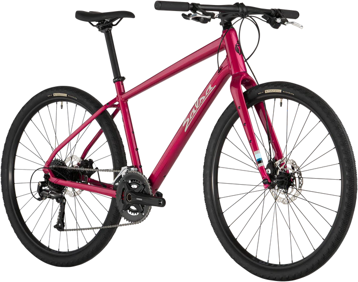 Salsa Cycles | 2023 Journeyer 2.1 Flat Bar 650B